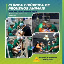 texto alternativo