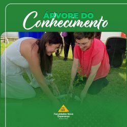 texto alternativo