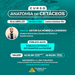 texto alternativo