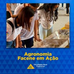 texto alternativo