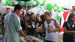 DSC08081