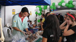 DSC08085