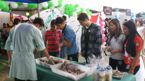 DSC08127