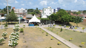 DSC08376