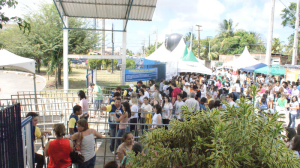 DSC08386